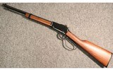 Henry ~ Small Game Rifle ~ .22 S/L/LR - 5 of 5