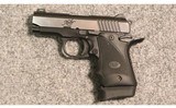 Kimber ~ Micro 9 STG ~ 9mm Luger - 2 of 2