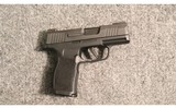 SIG Sauer ~ P365 ~ 9mm Luger - 1 of 2