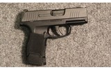 Sig Sauer ~ P365 ~ 9mm Luger