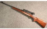 Winchester ~ Pre-64 Model 70 ~ .243 Winchester - 5 of 5