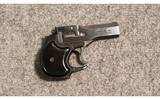 High Standard ~ Derringer ~ .22 Magnum - 1 of 2