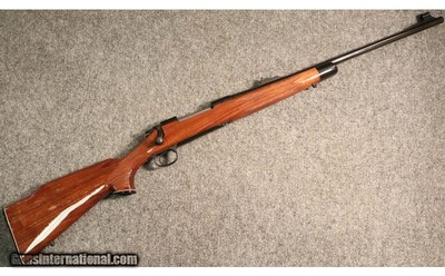 Remington ~ 700 ~ .30-06 Sprg