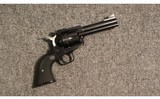 Ruger ~ NM Blackhawk ~ .45 Colt