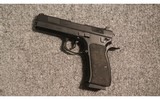 CZ ~ 97 BD ~ .45 ACP - 2 of 2