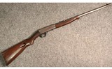 Remington ~ 24 ~ .22 Short - 1 of 5