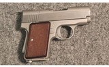 AMT ~ Backup ~ .380 Auto - 1 of 2
