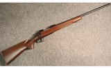 Remington ~ 700 ~ .17 Remington - 1 of 5