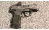 Sig Sauer ~ P365 ~ 9mm Luger - 1 of 2