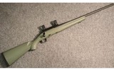Ruger ~ American ~ .223 Remington - 1 of 5