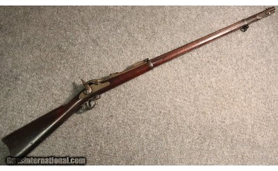 Springfield ~ 1884 ~ .40-70 Gov't
