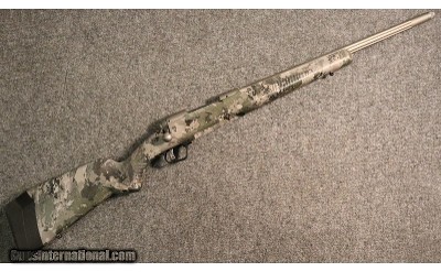 Savage ~ 110 ~ .308 Winchester