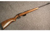 Winchester ~ Model 131 ~ .22 Short, Long, Long Rifle - 1 of 5