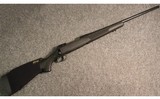 Savage Arms ~ Model 111 ~ .30-06 Springfield - 1 of 5