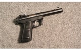 Ruger ~ 22/45 Target ~ .22 Long Rifle