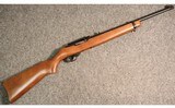 Ruger ~ 10/22 ~ .22 Long Rifle