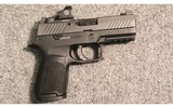 Sig Sauer ~ P320 ~ 9mm Luger