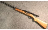 J. Stevens Arms ~ 87A ~ .22 S/L/LR - 5 of 5