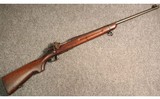 US Springfield ~ 1922 ~ .22 Long Rifle