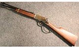 Henry ~ Golden Boy ~ .44 Mag/.44 Spl - 5 of 5