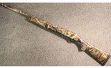 Retay ~ Gordion ~ 12 Gauge - 5 of 5