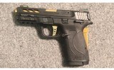 Smith & Wesson ~ M&P 380 Shield ~ .380 Auto - 2 of 2