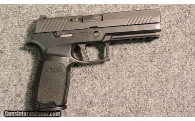 Sig Sauer ~ P320 ~ 9mm Luger