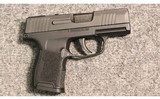 Sig Sauer ~ P365 SAS ~ 9mm Luger - 1 of 2