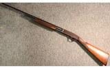 Winchester ~ 42 ~ .410 Gauge - 5 of 5