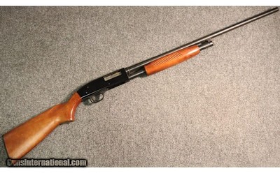 Western Auto Supply ~ R310C ~ 20 Gauge