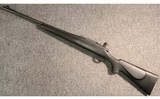 Remington Arms ~ 700 ~ .30-06 Sprg - 11 of 11