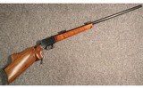 BSA ~ Martini Cadet ~ .32-20 WCF
