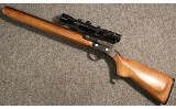 BSA ~ Custom Martini Action ~ .22 Long Rifle - 11 of 11