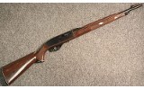 Remington ~ Nylon 77 ~ .22 Long Rifle - 1 of 5