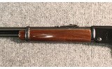 Henry ~ Classic Lever Action ~ .22 Long Rifle - 6 of 11