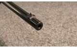 Remington ~ 12-A ~ .22 S/L/LR - 4 of 10
