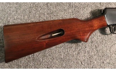 Winchester ~ 63 ~ .22 Long Rifle