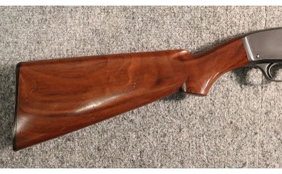 Winchester ~ 42 ~ .410 Gauge