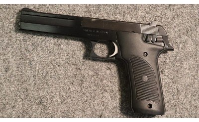 Smith & Wesson ~ 422 ~ .22 Long Rifle