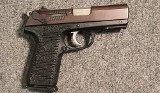 Ruger ~ P95 ~ 9mm Luger (SKU: 4605858)