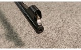 Steyr-Diamler ~ SL ~ .222 Remington (SKU: 4601670) - 2 of 5