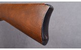 Ruger ~ 10/22 ~ 22 LR - 10 of 10