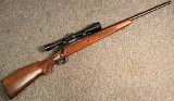 Winchester ~ 670 ~ .243 Winchester (SKU: 4601504)