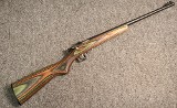 Crickett ~ Crickett ~ .22 Long Rifle (SKU: 4607829)