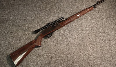 RemingtonNylon 66.22 Long Rifle (4740382)