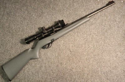 Remington ~ 597 ~ .22 Long Rifle (4763595)