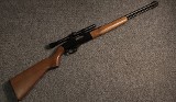 Winchester ~ 190 ~ .22 Long Rifle (4739279) - 1 of 1