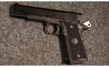 Para Ordnance ~ GI Expert ~ .45 ACP (4747673) - Image 2 of 2