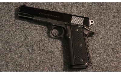 Para Ordnance ~ P14 ~ .45 ACP - Image 2 of 2