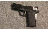 Smith & Wesson ~ M&P 9 Shield EZ ~ 9mm Luger (4811862) - 2 of 2
